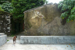 P1070968