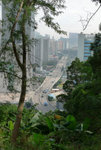 P1010041