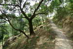 P1010058