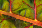 DSCF0025