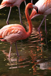 DSCF0073