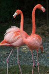 DSCF0080