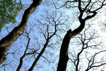 DSCF0103