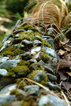 DSCF0108