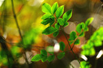 DSCF0122