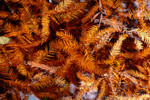 DSCF0144