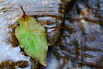 DSCF0148