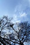 DSCF0168