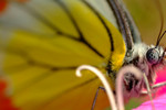 DSCF0231