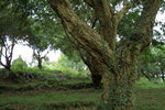 DSCF0852
