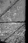 DIM_4541