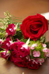 DIM_4334