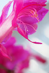 DSCF0041