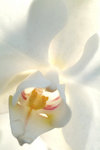 DSCF0051