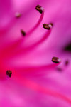 DSCF0174