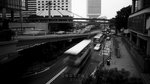 DSC_7651