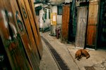 L01_0652-1