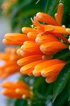 L01_0691-1