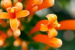 L01_0694-1