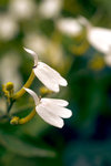 L01_0746-1