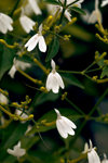 L01_0761-1