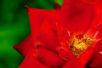 L01_0772-1