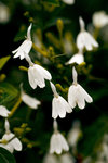 L01_0791-1