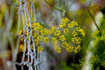 L01_0797-1