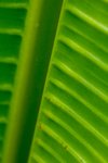 L01_5105-1