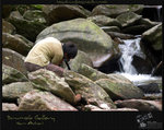 CRW_1380