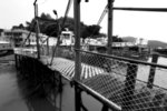 L01_2666