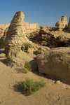 L01_4965