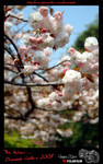 DSCF0127