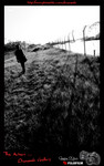 DSCF0592