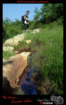 DSCF0374