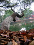 IMG_0262