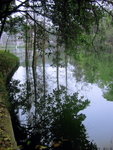 IMG_0263