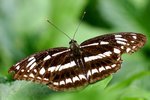 aIMG_9068