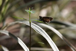 IMG_5960a