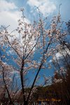 IMG_1840
