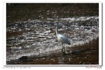 IMG_8072