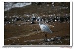 IMG_8075