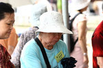 IMG_8106