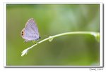 IMG_4457