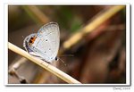 IMG_4468