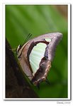 IMG_4700