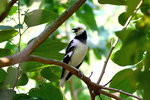 _MG_7815a
