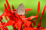 _MG_7849a