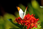_MG_7856a