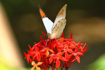 _MG_7858a